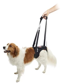 KRUUSE Hind Legs Rehab Lifting Harness