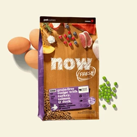 NOW FRESH TURKEY, SALMON & DUCK GRAIN-FREE DRY CAT FOOD FOR SENIORS