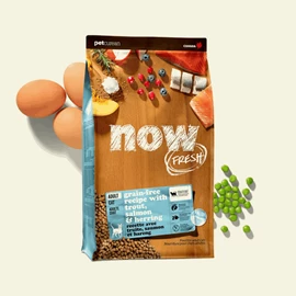 NOW FRESH FISH TROUT, SALMON & HERRING GRAIN-FREE DRY CAT FOOD FOR ADULT