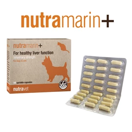 NUTRAVET NUTRAMARIN+ 肝臟護理膠囊(貓狗合用) (60粒裝)