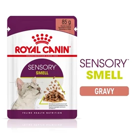 ROYAL CANIN FHN CAT SENSORY GRAVY SMELL 85G (PER POUCH)