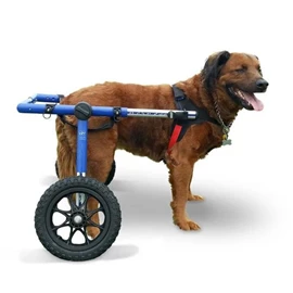 WALKIN PETS Large Blue 15 inch strut 16 inch Foam Filled Wheels