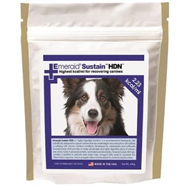  寵特寶犬恢復期