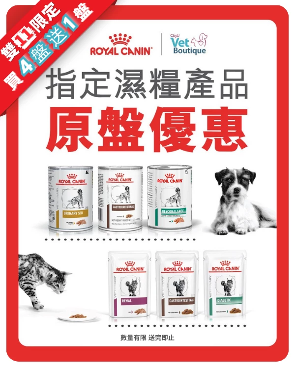 Royal Canin&nbsp;<span data-teams=