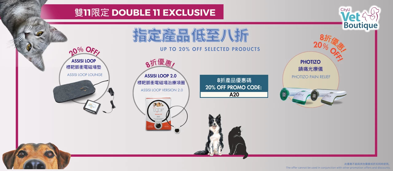 Assisi Loop 20% off