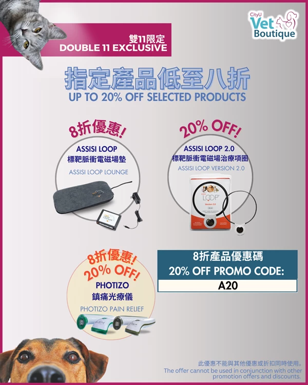 Assisi Loop 20% off
