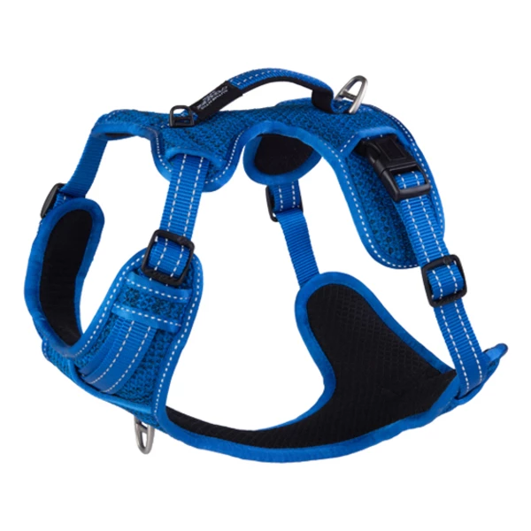 ROGZ H Harness L Blue CityU Vet Boutique Veterinarian Recommended