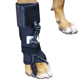 WALKIN' PETS Front, No-Knuckle Training Sock