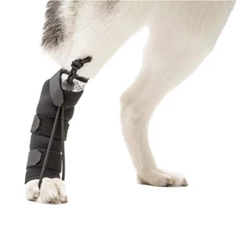 WALKIN' PETS Rear No-Knuckling Training Sock