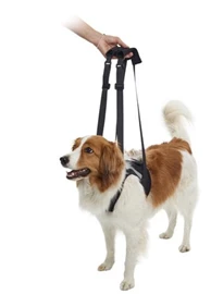 KRUUSE Front Legs Rehab Lifting Harness