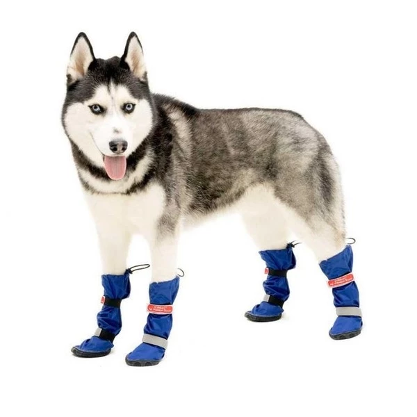 Siberian husky dog shoes top