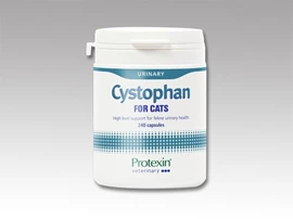 PROTEXIN Cystophan 240caps
