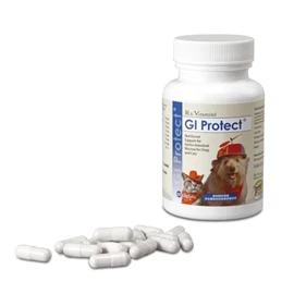 VETDICATE GI Protact 60 caps