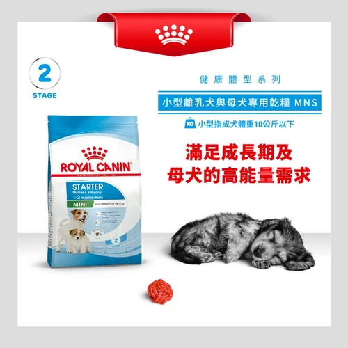 Royal canin puppy and mother top