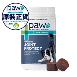 PAW 關節補充咀嚼粒 500克 (100粒裝)