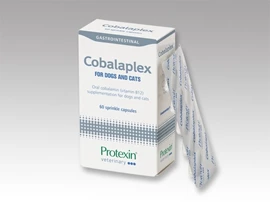 PROTEXIN Cobalaplex 60 Caps