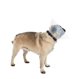 BUSTER E-Collar for Brachycephalic Dogs