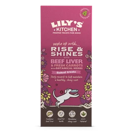 LILY'S KITCHEN TREATS FOR DOGS - Rise & Shines Baked Treats 100g