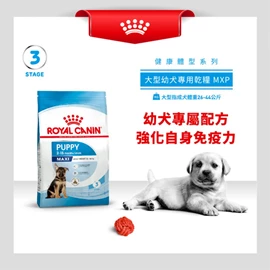 ROYAL CANIN SHN 大型幼年犬配方 15公斤