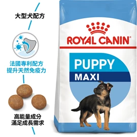 Royal Canin SHN 大型幼年犬配方