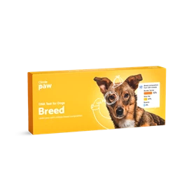 CIRCLEPAW Breed DNA Test for Dogs