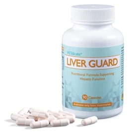 VETDICATE Liver Guard (90 Caps)