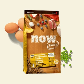 NOW FRESH TURKEY, SALMON & DUCK GRAIN-FREE DRY DOG FOOD FOR PUPPY
