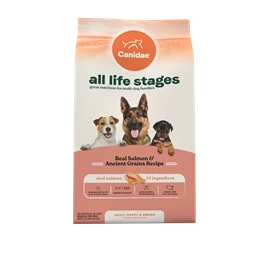 CANIDAE ALL LIFE STAGES DRY DOG FOOD, REAL SALMON & ANCIENT GRAINS RECIPE