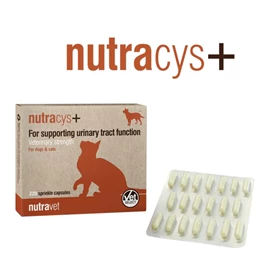 NUTRAVET NUTRACYS+ 促進泌尿道功能健康營養膠囊(貓狗合用) (220粒裝)