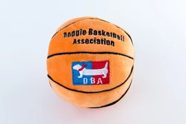 DOGGIE GODDIE Basketball Toys