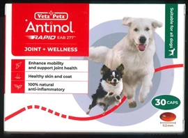 ANTINOL RAPID For Dogs 30 Caps