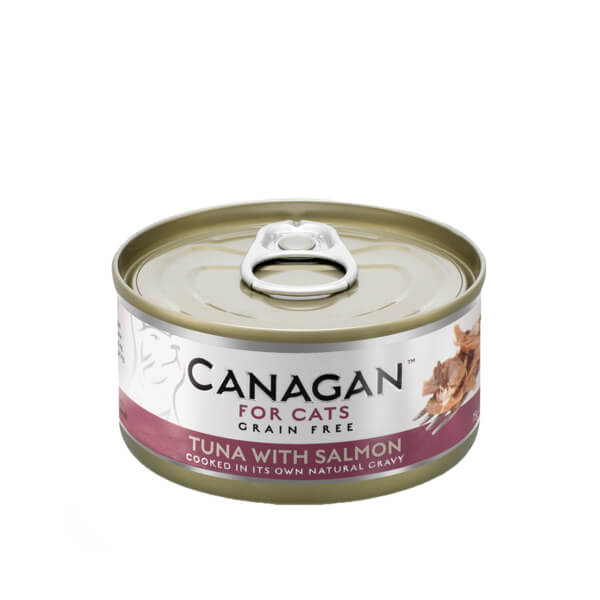 wet cat food-canned cat food-best kitten canned food